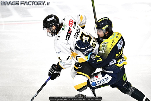 2025-02-15 Mastini Varese-Pirates Appiano 0776 Andrea Schina